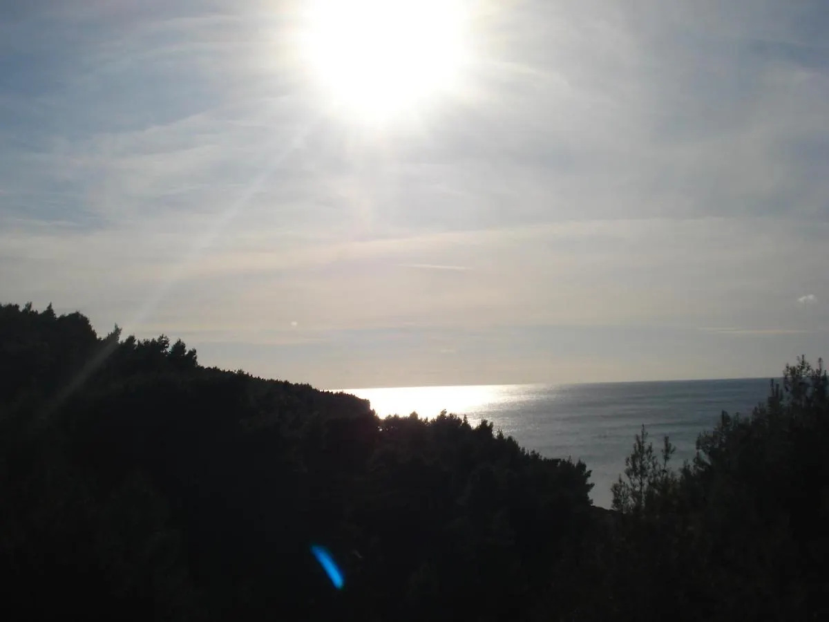 Apartment Premantura 0*,