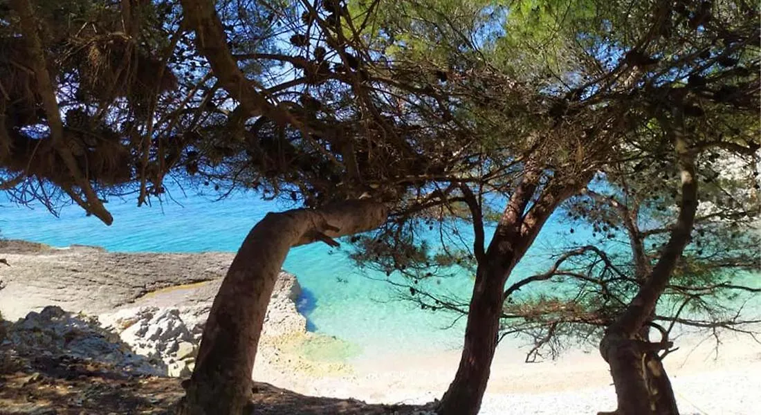 Apartment Premantura Croatia